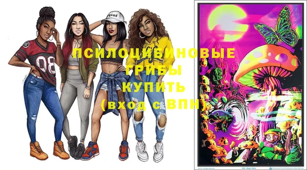 бутират Новодвинск