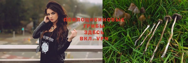 бутират Новокубанск