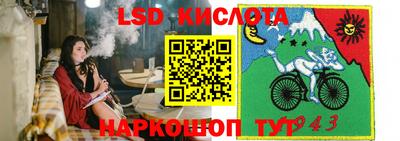 ГАЛЛЮЦИНОГЕННЫЕ ГРИБЫ Берёзовский
