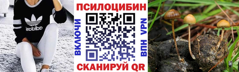 Псилоцибиновые грибы прущие грибы  Большой Камень 